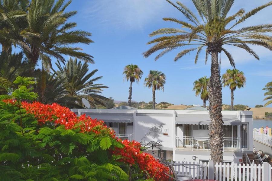 Apartamentos Dunaoasis Maspalomas マスパロマス エクステリア 写真